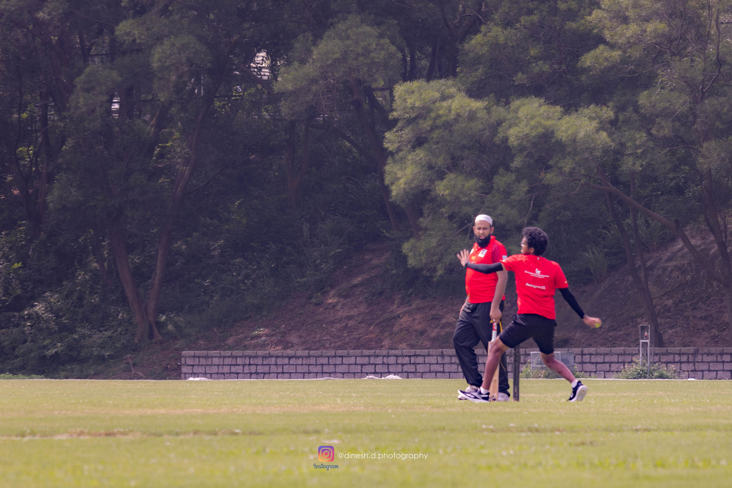 Cricket batting still