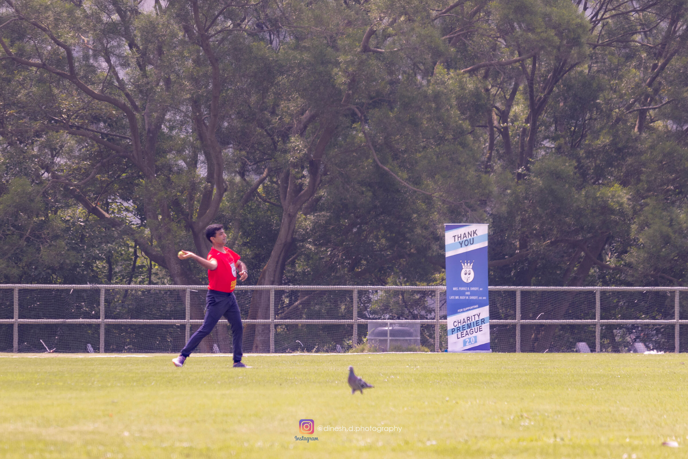 Cricket fielding frame